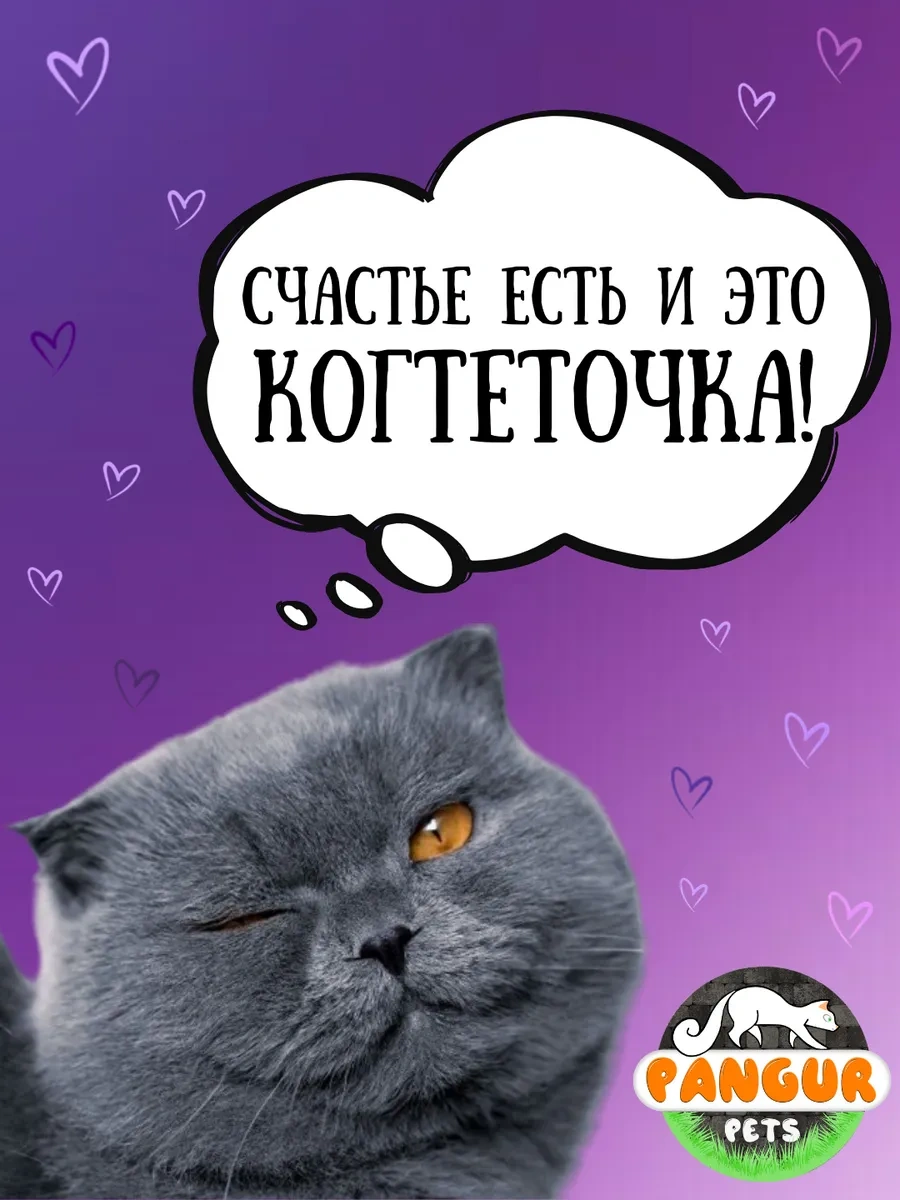 Pangur Kedi Mama Kabı Kulaklı Kırışık Karton Kedi Panguru Toguoluğu Yastığı 379659503