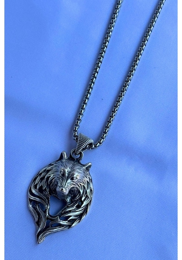 Kurt Başı El İşçiliği Paslanmaz Çelik Zincir Erkek Kolye Gümüş