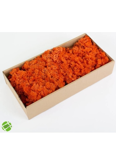 Reindeer Moss Turuncu Şoklanmış Norveç Yosunu 30gr