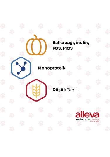 Alleva Natural Tavuk & Balkabağı Düşük Tahıllı Maxi Yetişkin Irk Köpek Maması 2 Kg