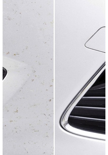 Sonax Böcek Temizleyici 500 ML