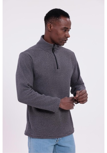 Freemen Erkek Fit Dik Yaka Yarım Fermuarlı Sweatshirt Polar Mor