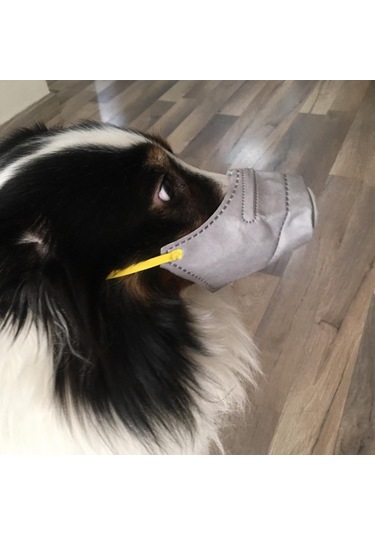 Homyl Ayarlanabilir Anti Sis Pet Köpek Ağız Maskesi Gri-l