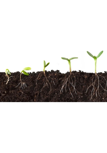 Leonardit 3 KG Doğal Toz Leonardit Organik Toprak Düzenleyici Leonardit Gübre Köklendirici Doğal Gübre