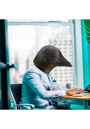 Qianfan Karga Maskesi Kuş Siyah Hayvan Lateks Tam Kafa Gerçekçi