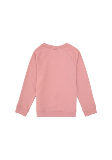 U.s. Polo Assn. Erkek Çocuk Orkide Sweatshirt 50313832-vr221 Orkide