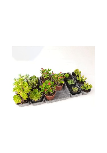 Dancemonkey Cbtx 8'li Çekmece Organizatörü, Keçe Saklama Kutuları - Açık Gri Ahşap