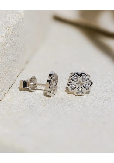 Oolı 925 Ayar Gümüş Küpe Çiviler 337824484 Diğer