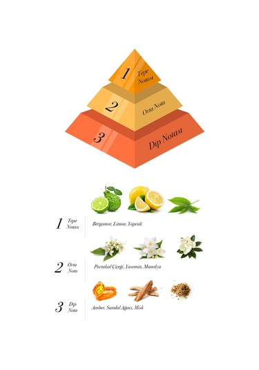 Alya Egzotic Leaves Bambu Çubuklu Oda Kokusu 100 ML