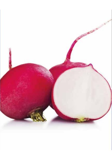 Turp Tohumu 10 Gr Kırmızı Iri