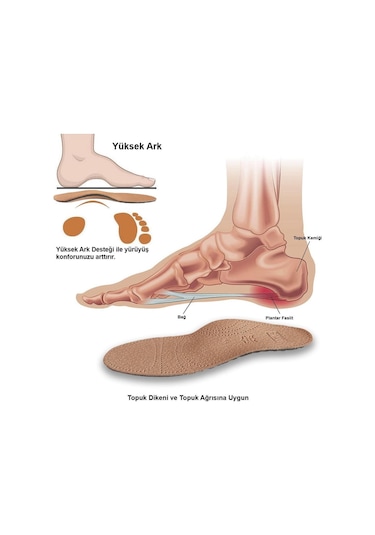 Active Team LT01 - Deri Tam Ortopedik Ark Destekli Hakiki Deri Tabanlık