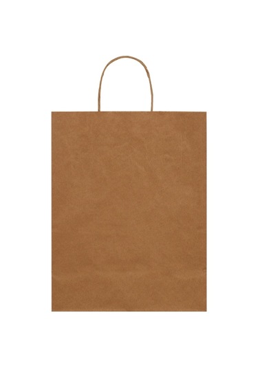 Packanya 20 x 10 x 22 - 100 Adet Burgu Saplı Kraft Çanta