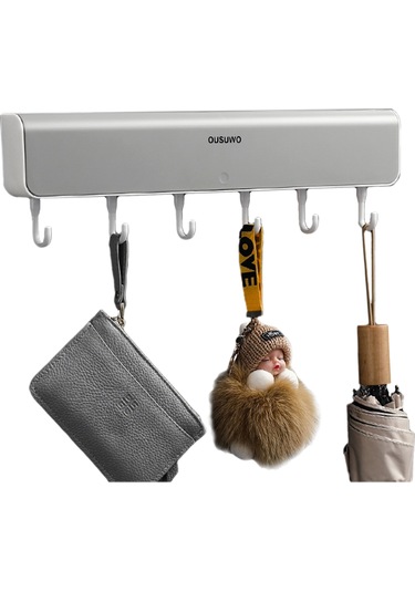 Gajeena Mnmhgg-421 Ousuwo Duvar Askılı Pratik Depolama Ünitesi, 6 Kancalı Ve Bölmeli, Gri Gri