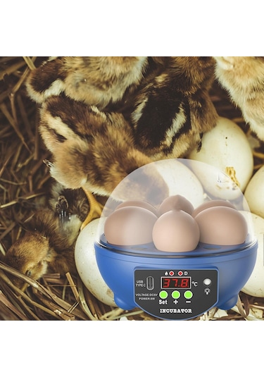 Suntek Yumurta Kuluçka Makineleri Otomatik Civciv Kuluçka