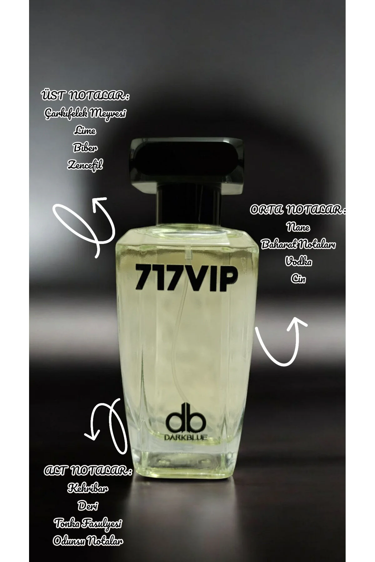 Darkblue 717 Vip Erkek Parfüm EDP 100 ML