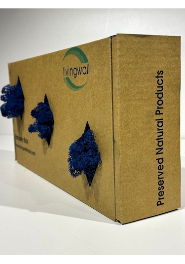 Reindermoss Şoklanmış Norveç Yosunu Terarium Yosunu Mavi 500 Gr.