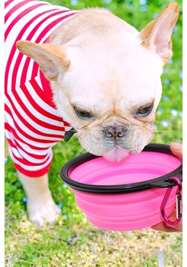 Katlanabilir Silikon Seyehat Pratik Köpek Kedi Mama Ve Su Kabı 350 ML