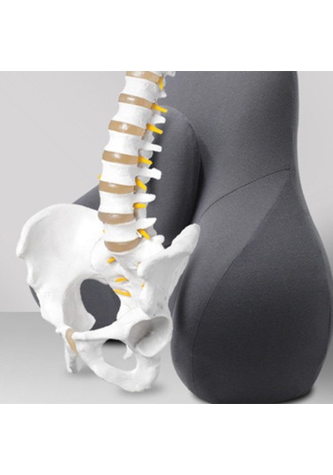 Suntek Bel Destek Yastığı Seyahat Koltuğu Oyun Için Yumuşak Gri