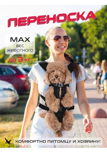 Senkadog Evcil Hayvanlar İçin Taşıma Sırt Çantası 178432302