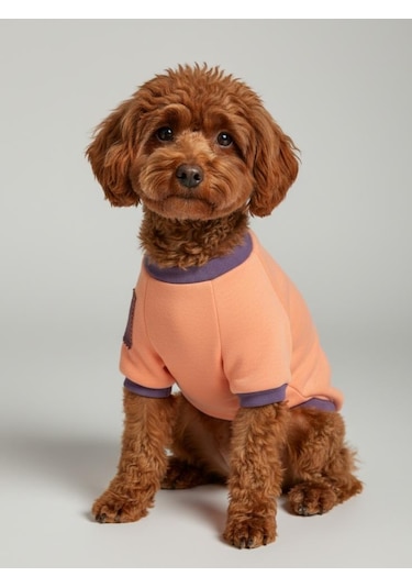Sevimli Unicorn Marşmelov Pembe Köpek Polar Sweatshirt
