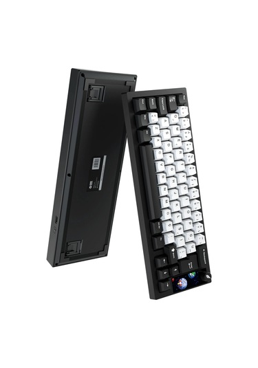 Hawk Hk540 Mekanik Prelubed Switch Rgb Tri-mode Ckckhwk0030