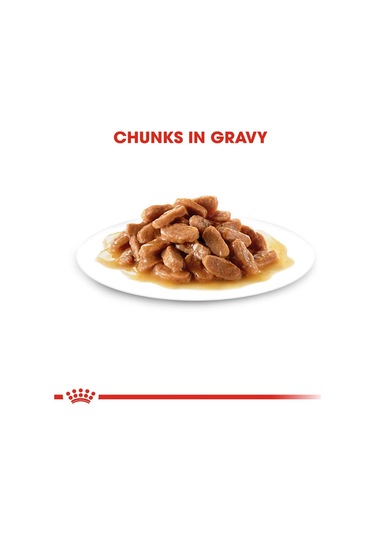 Royal Canin Kitten Gravy Yavru Kedi Konservesi 12x85 Gr