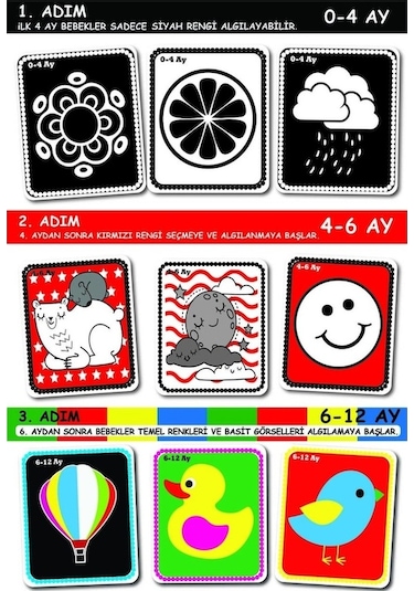 Diytoy Bebeğimin İlk Zeka Kartları Flash Cards Eğitici Kartlar