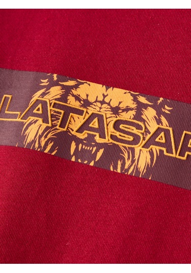 Gsstore Galatasaray Erkek T-shirt E261039 Kırmızı