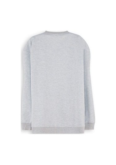 Denokids Roar Erkek Çocuk Sweatshirt - Gri