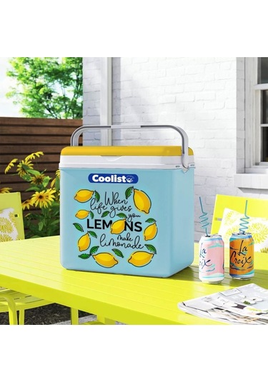 Coolist Clb24lm 24 Litre Limon Desenli Buzluk + 2 Adet 400gr. Buz Kaseti Fr Clb24lm Çok Renkli
