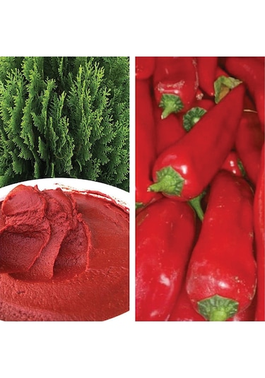 Tunaoğlu Çiftliği Acı Biber Salçası 500 G