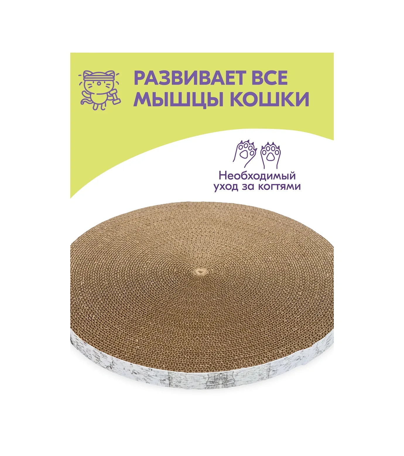 Pettails Kedi Tırmalama Tahtası Karton, Yer Tipi, Kedi Nanesi İle 368714354