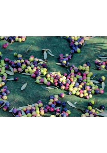 Nzl File Ambalaj Dut Toplama Filesi - 75'lik Yeşil File - Kurutma Filesi - Hasat Filesi - Fıstık Filesi