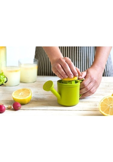 Bahçıvan Limonluk Plastik Diğer