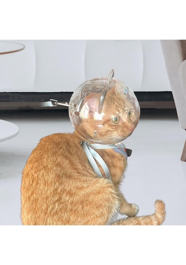 Homyl Namlu Tırnak Kırpma Kısıtlama Açık Görünüm Anti