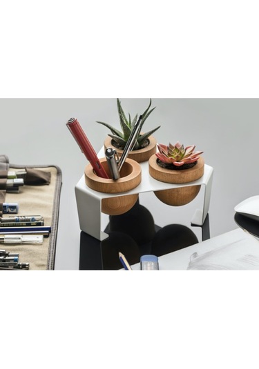 Halohope Metal Stantlı 3'lü Skulent Saksısı Beyaz Saksılık