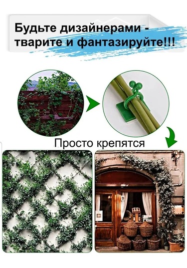 Greduha Bitki Destekleyici Duvar Askısı 10 Adet 169153641