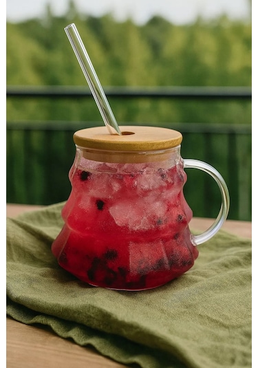 400 Ml Bambu Kapaklı Borosilikat Cam Bardak Silikon Contalı, Pipet Hediyeli, Isıya Dayanıklı Şeffaf