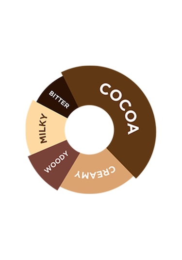 - Chocolate Şurup - 750 Ml