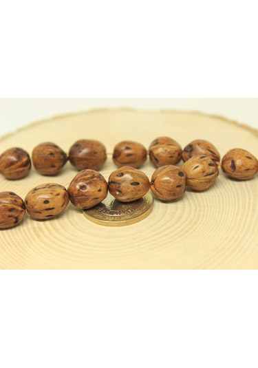 Andız Ağacı 17lik Efe Tesbih 13*13mm (25580)