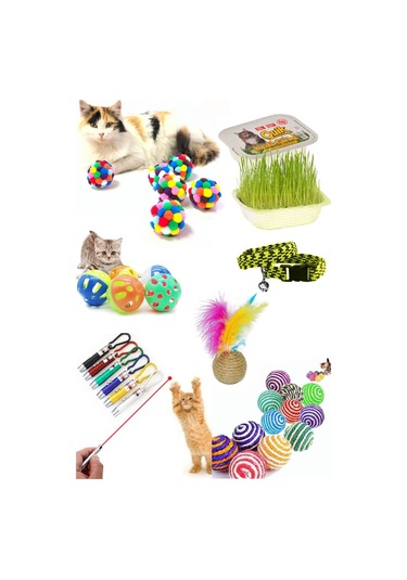 Pet Kedi Oyuncağı Seti 7 Parça