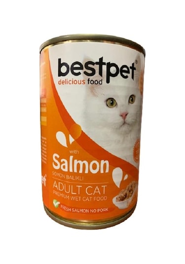 Bestpet Somonlu Konserve Yetişkin Kedi Maması 415 G