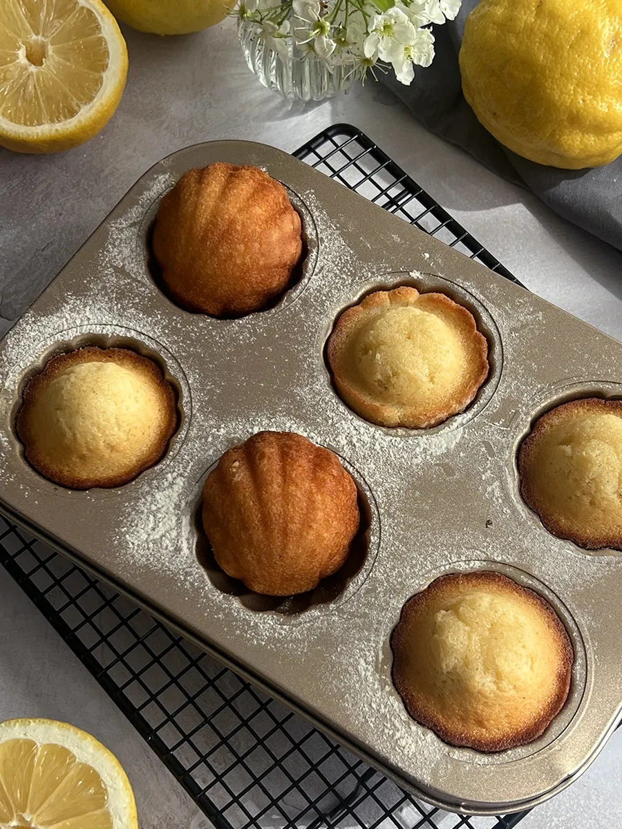 Lıkemylıfe Madeleine Pişirme Kalıpları 288822365 Sıcak Bej