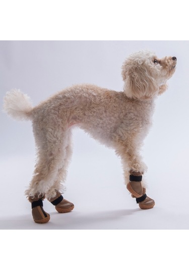 Kahverengi Deri Köpek Ayakkabısı-köpek Patiği
