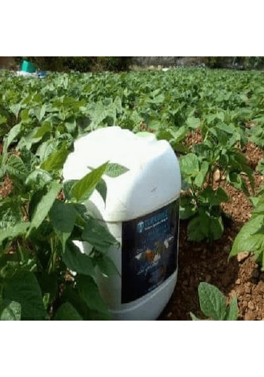 5 L Turkuvaz Bat Power Organik Sıvı Yarasa Gübresi