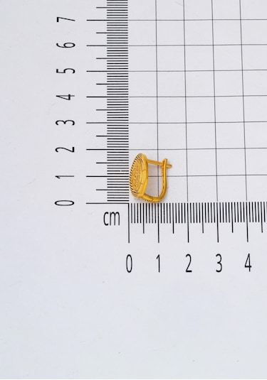 Bilezikci Oval Yaşam Çiçeği 22 Ayar Altın Küpe