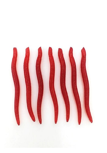 20 Adet-kokulu-silikon Balık Yemi-gerçek Görünümlü-yapay Solucan