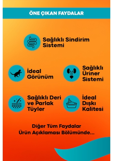 Tavuklu Yetişkin Kedi Maması Maintenance - 2kg