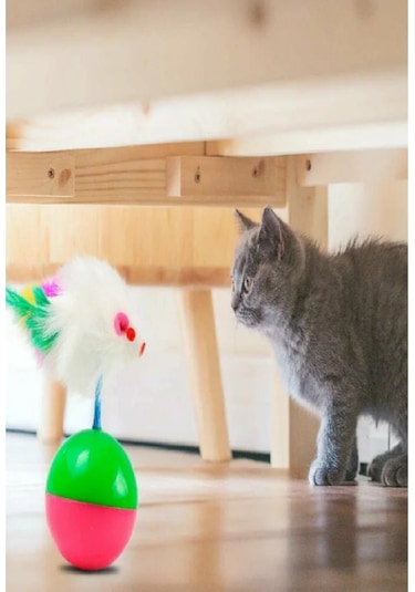 Toplu Fare Hacı Yatmaz Kedi Oyuncak