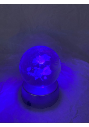 3d Led Işık Cam Küre Çiçek I Love You Pilli